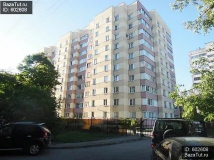 Созвездие просп просвещения 102а фото