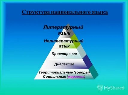 Структура литературного языка