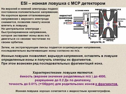 Московский социальный регистр