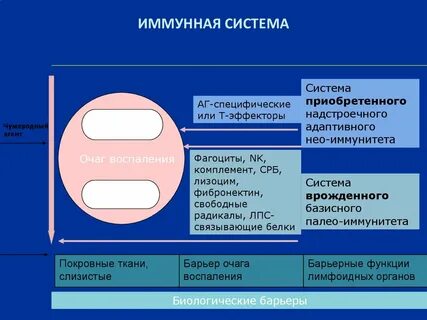 2 минуты система