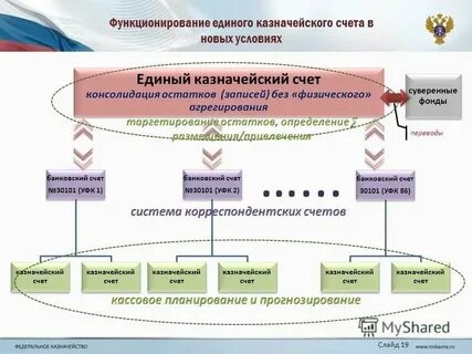 Казначейские счета бюджетных учреждений