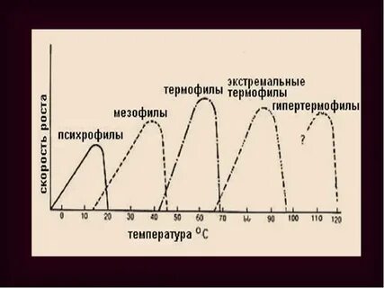 Мезофилы