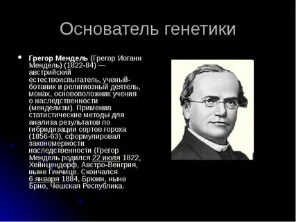 Название суть основоположник