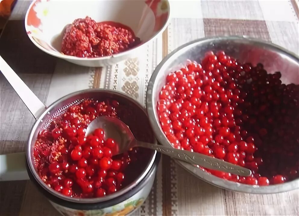 Красная смородина через сито. Красная смородина косточки. Красная смородина через сито. Красная смородина через сито. Желе из красной смородины без сахара.