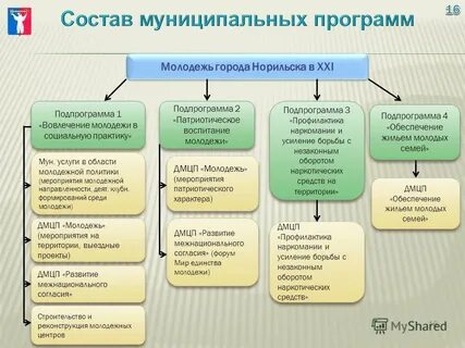 Муниципальная программа молодежная политика