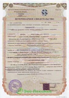 Срок ветеринарного сертификата