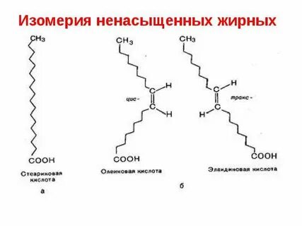 Изомеры жиров