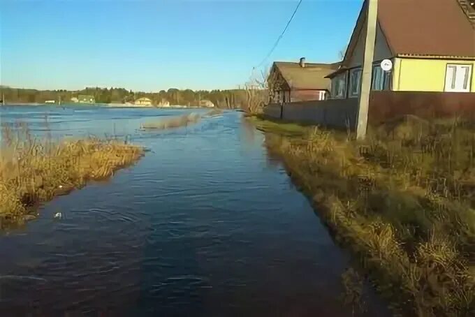 Погода осеченка тверская область. Погода осеченка тверская область