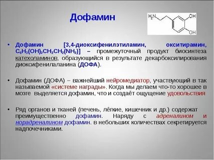 Дофамин почечная