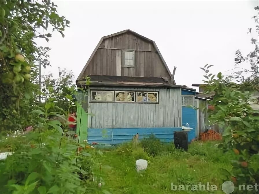 Новая мельница Великий Новгород. Новая мельница сады Великий Новгород. Дача на новой мельнице. Великий Новгород новая мельница Загородная 135. Купить дачу новая мельница великий