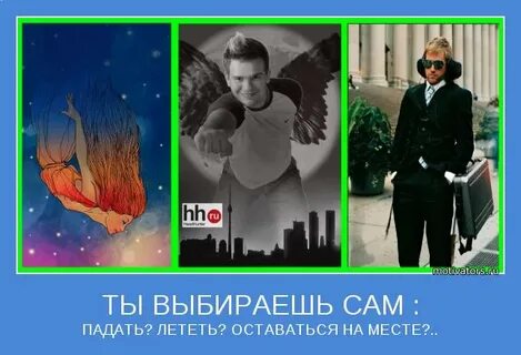 Давай сам выберешь