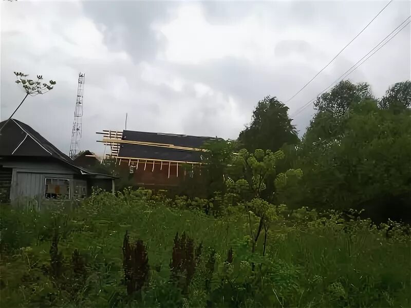 Погода в никифорово серпуховской. Деревня никифорово московская область. Погода в никифорово серпуховской. Деревня никифорово московская область. Никифорово московская область.