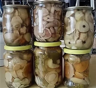 Как правильно консервировать грибы