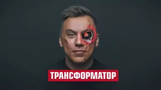 Трансформатор портнягин. Трансформатор портнягин