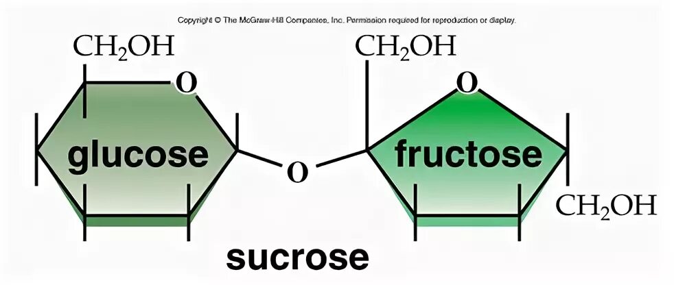 Глюкоза и рибоза. Glucose в косметике. Молекула глюкозы формула. Глюкоза формула химическая молекулярная. Геншин sucrose.