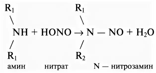 Нитраты нитриты формулы. Нитрозамины. Нитраты, нитриты, нитрозоамины. Образование нитрозаминов. Нитрозамины формула.