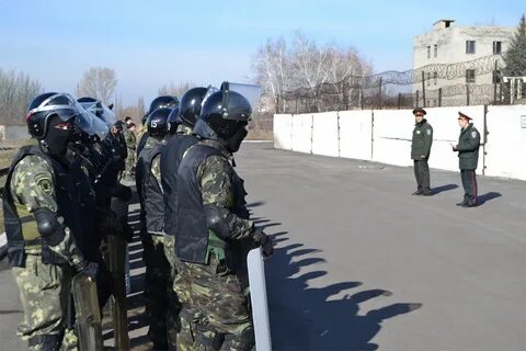120 колония