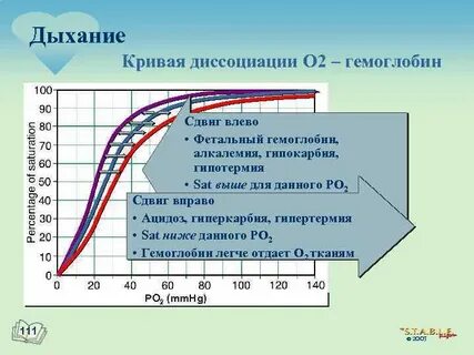 Кривые диссоциации кислорода