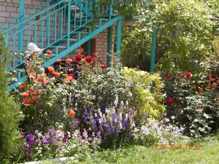 Станица благовещенская виноградный