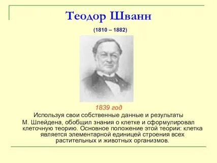 2 клеточная теория строения организмов