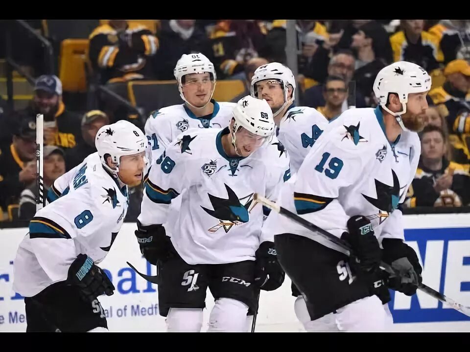 San jose sharks 2015. Сан хосе 88 номер. Карлсон сан хосе шаркс. Бостон брюинз сан-хосе шаркс 23 января. Карлсон сан хосе шаркс.