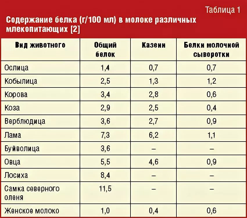 Сколько грамм белков в молоке