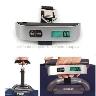 Scale 6