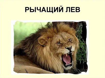 Не рычи