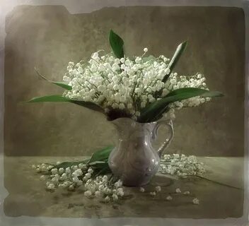 Я подарю вам ландыши какого года