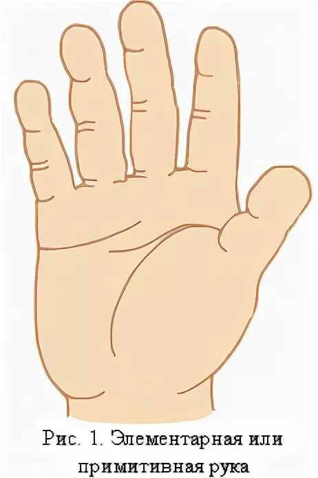 Первобытный отпечаток руки. Пещера куэва-де-ардалес. Примитивная рука. Хиромантия пальцы рук. Отпечатки рук первобытных людей.