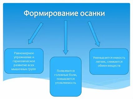 Двигательная гигиена
