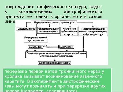 Вести происхождение