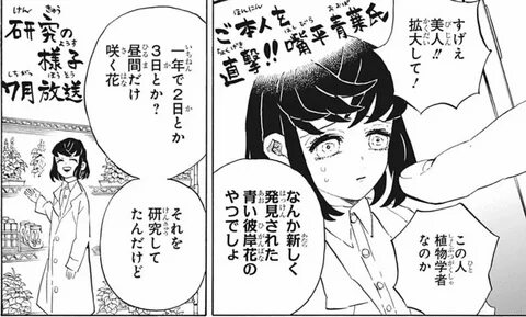 鬼 滅 の 刃 第 205 話"幾 星 霜 を 煌 め く 命"最 終 話 感 想-考 察. 取 扱 No.1 鬼 滅 の 刃 吾...