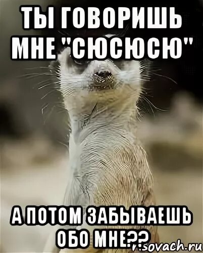 Совсем позабыл. Ты забыл про меня. Совсем забыл про меня. Открытка ты меня забыл. Ты про меня совсем забыл.