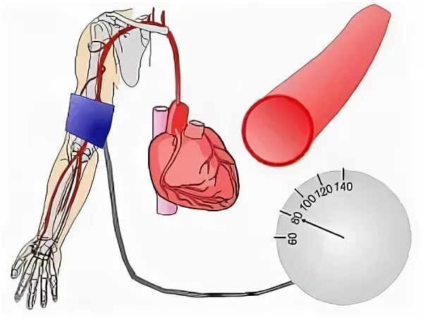 Артериальная гипертензия. Измерение давления. Кровяное давление. Артериальное давление рисунок. Давление простата