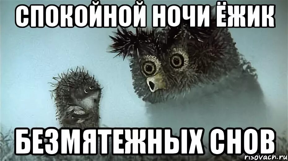 Доброй ночи ежик. Ежик и звезда. Доброй ночи ежик. Спокойной ночи ежик. Спокойной ночи ежата.