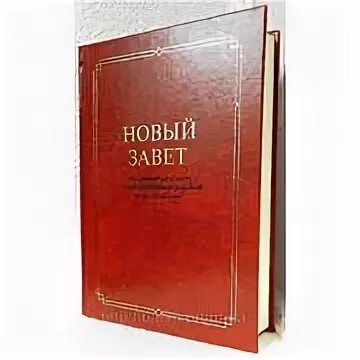 Подстрочный перевод с греческого на русский. Новый Завет на греческом языке. Новый Завет на греческом с подстрочным книга. Новый Завет на греческом с подстрочным переводом на русский. Новый Завет на латыни.