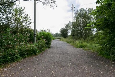Погода в стеклянном всеволожский