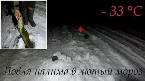 Была зима стоял лютый мороз люба