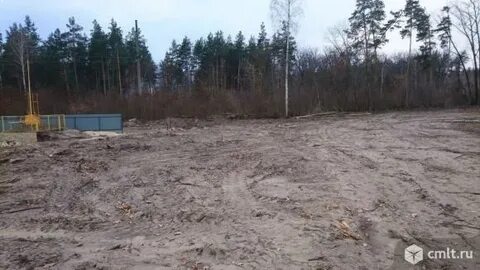 Равновесие лесная ул 26 село ямное отзывы