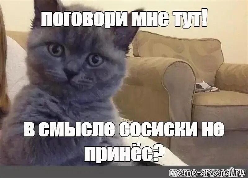 Поговори со мной без регистрации