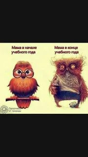 В начале года пустой
