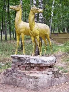 Животные балашихи