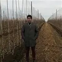 Садовый питомник есичевых 6 село муромцево