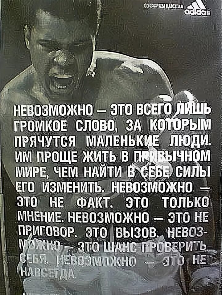 Бон и шавка. Крикнул громко. При переходе от слов к делу люди. Очень громкое слово. Боны и шавки.