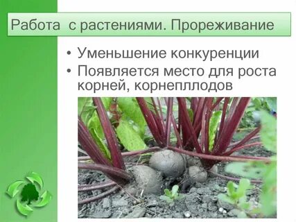 С какой целью применяют агроприем