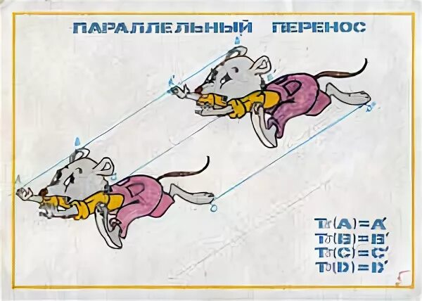 Практическая работа по теме движения