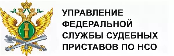 Огрн судебных приставов. Управление Федеральной службы судебных приставов. Судебные приставы логотип. Управление ФССП по Новосибирской области. Федеральная служба судебных приставов логотип.