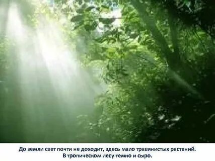 Мокрый с лучами