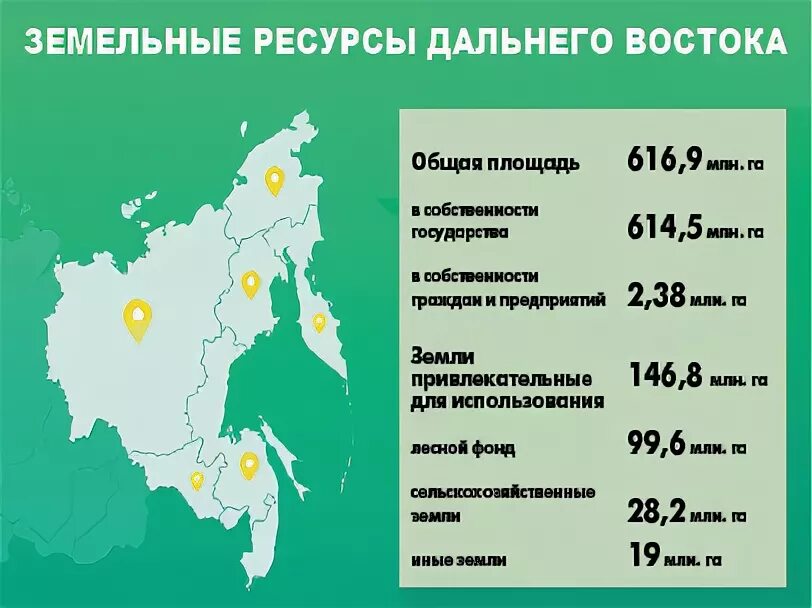 Почвы смешанных лесов дальнего востока. Дальний восток почвы территории. Дальний восток почвы территории. Горные ручьи камчатки. Почвы дальнего востока.